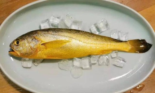 黄疸是因为营养不良嘛图片-黄疸影响婴儿发育吗、黄疸与什么有关 -黄疸是因为营养不良嘛网