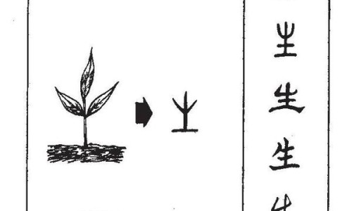 黄疸的黄色和营养不良的黄色有什么区别-黄疸影响婴儿发育吗、黄疸与什么有关 -黄疸是因为营养不良嘛网